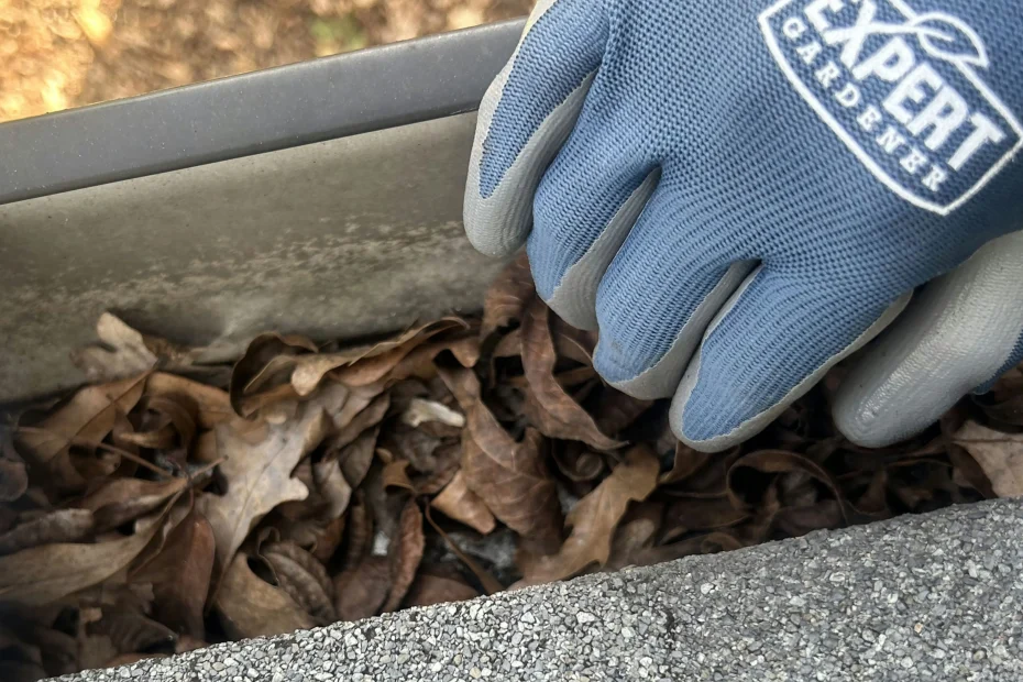 Gutter Cleaning Glen Allen