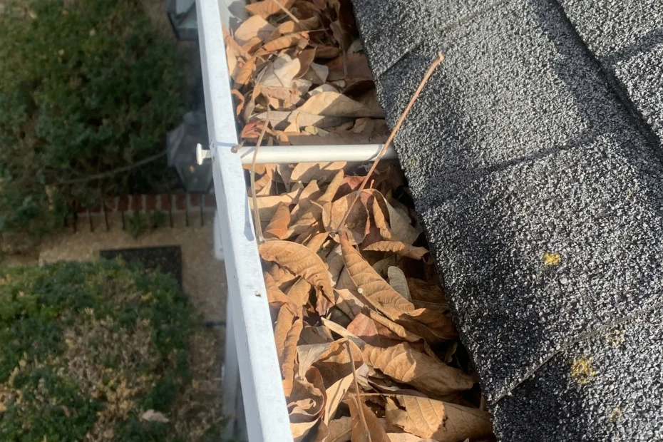 Gutter Cleaning Glen Allen